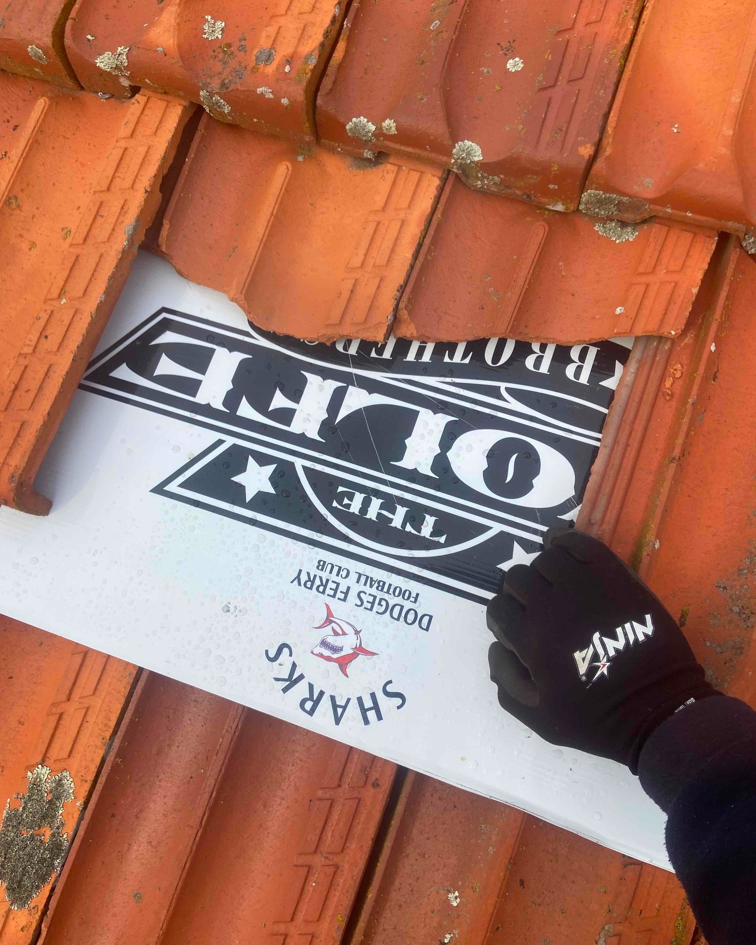 Replacement Roofs