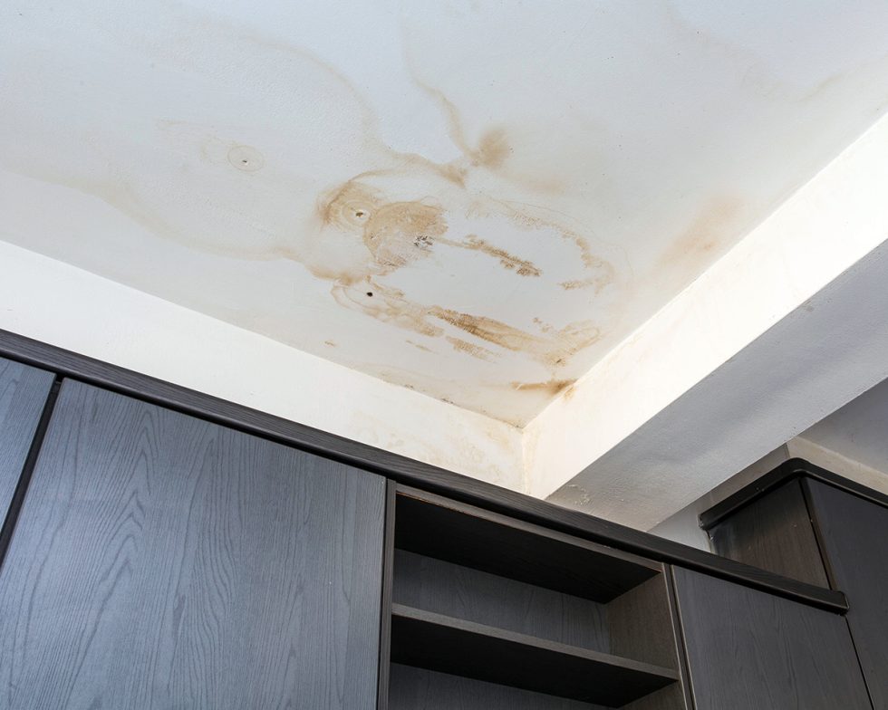 Discover the Secrets of Long-Lasting Roof Plumbing Solutions
