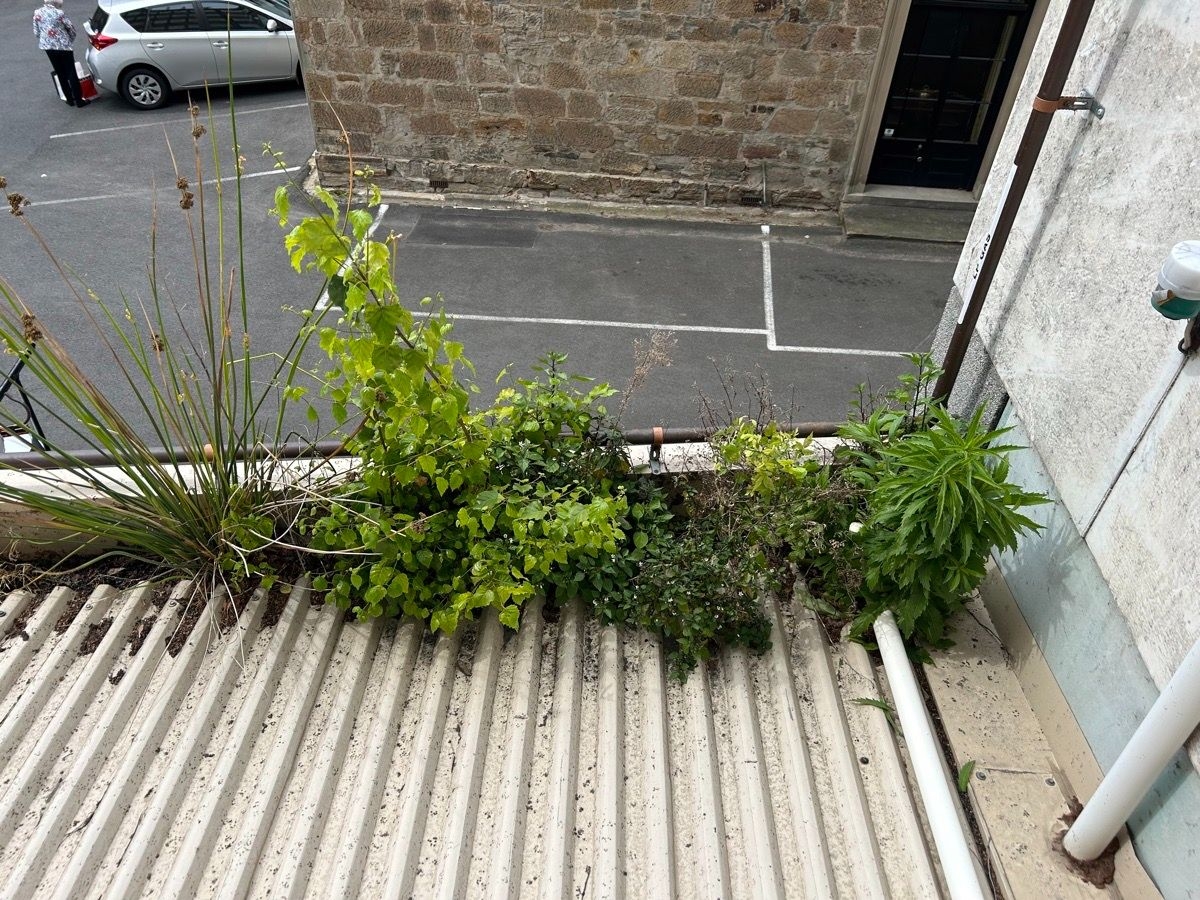 Roof Leak Repairs