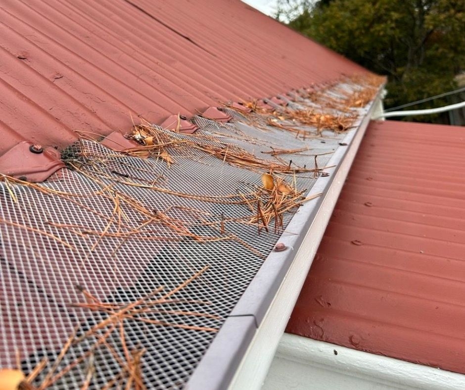 Roof Maintenance